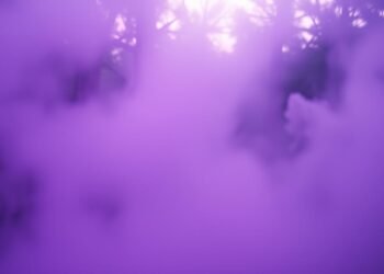 Instagram Profilbesucher Analyse