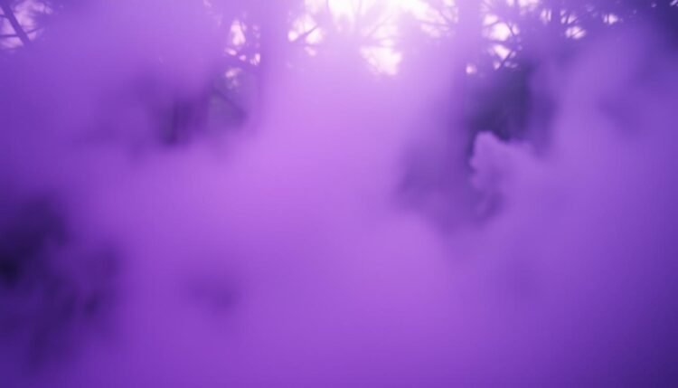 Instagram Profilbesucher Analyse