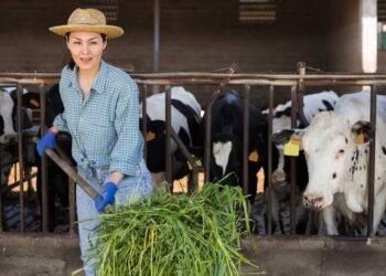 Leben auf den Bauernof