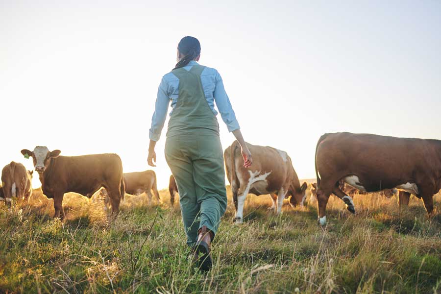 Tierwohl in der nachhaltigen Landwirtschaft leben-baurnhof