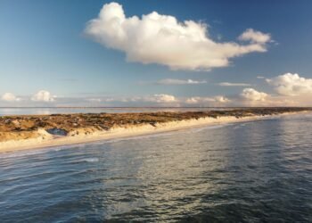 Outer Banks Folgen: Alle Staffeln, Episodenanzahl und Infos auf einen Blick